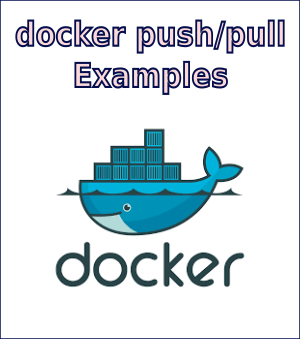 Docker Config Reference (push / pull)