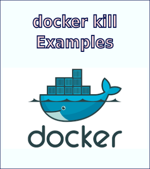 Docker Config Reference (docker kill)