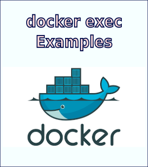 Docker Config Reference (docker exec)