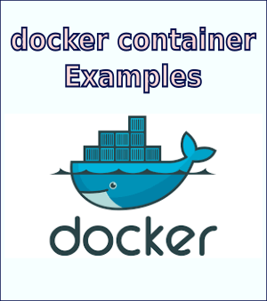 Docker Config Reference (docker container)