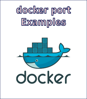 Docker Config Reference (docker port)