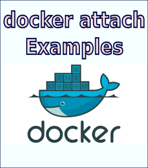 Docker Config Reference (docker attach)