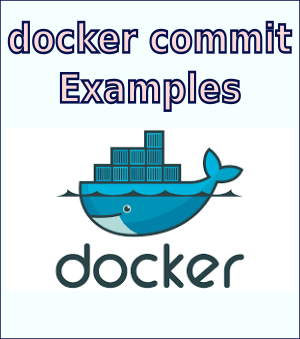 Docker Config Reference (docker commit)