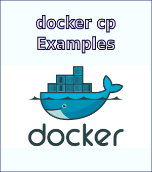 Docker Config Reference (docker cp)